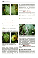 Болезни и вредители плодовых растений — фото, картинка — 10