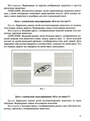 Добро пожаловать в экологию! Конспекты для проведения непрерывной образовательной деятельности с дошкольниками. 3-7 лет — фото, картинка — 10