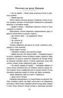 Поселок на реке Оредеж — фото, картинка — 19