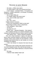 Поселок на реке Оредеж — фото, картинка — 21