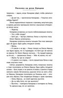 Поселок на реке Оредеж — фото, картинка — 33