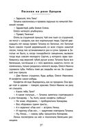 Поселок на реке Оредеж — фото, картинка — 35