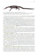 Крокодилы мира. Энциклопедия — фото, картинка — 6