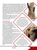 Большая энциклопедия о кошках и собаках — фото, картинка — 13