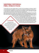 Большая энциклопедия о кошках и собаках — фото, картинка — 14