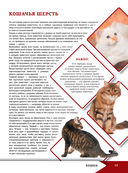 Большая энциклопедия о кошках и собаках — фото, картинка — 15