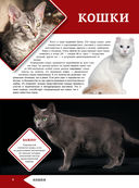 Большая энциклопедия о кошках и собаках — фото, картинка — 4