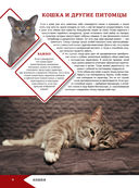 Большая энциклопедия о кошках и собаках — фото, картинка — 6