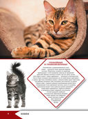 Большая энциклопедия о кошках и собаках — фото, картинка — 8