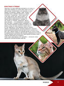 Большая энциклопедия о кошках и собаках — фото, картинка — 9