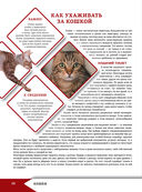 Большая энциклопедия о кошках и собаках — фото, картинка — 10