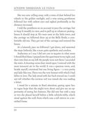 In a Glass Darkly 2. The Room in the Dragon Volant — фото, картинка — 8