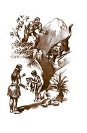 Томек в Гран-Чако — фото, картинка — 18