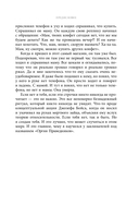 Оргия Праведников: больше, чем музыка. Авторизованная биография — фото, картинка — 12