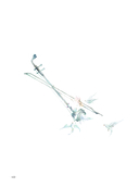 Костяная птица и ночные цветы. Иллюстрации Eno — фото, картинка — 11