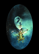 Костяная птица и ночные цветы. Иллюстрации Eno — фото, картинка — 3