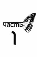 Тропа над бабочкой — фото, картинка — 4