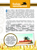 Что внутри? 100 объектов и устройств — фото, картинка — 12