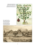 Напалеон Орда — фото, картинка — 5