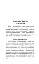 Домашние перепела. Разведение и содержание — фото, картинка — 12