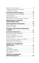 Домашние перепела. Разведение и содержание — фото, картинка — 4