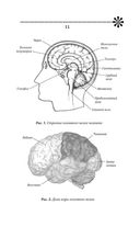 Большой тренажер мозга на основе методик Келли и Шульте — фото, картинка — 11