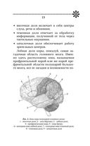 Большой тренажер мозга на основе методик Келли и Шульте — фото, картинка — 13
