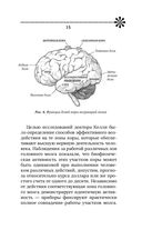 Большой тренажер мозга на основе методик Келли и Шульте — фото, картинка — 15