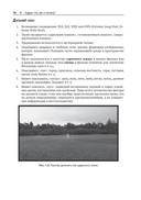 Грамматика кадра — фото, картинка — 23