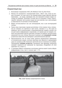 Грамматика кадра — фото, картинка — 28