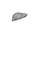 Печень против болезней — фото, картинка — 1