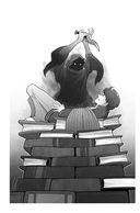 Талант под прикрытием — фото, картинка — 8