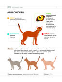 Определитель кошек. Физические характеристики и особенности породы — фото, картинка — 3