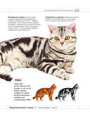 Определитель кошек. Физические характеристики и особенности породы — фото, картинка — 8