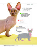 Определитель кошек. Физические характеристики и особенности породы — фото, картинка — 10