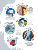 Мягкие игрушки на спицах. 12 пушистых зверей, которых легко вязать и не надо сшивать — фото, картинка — 4