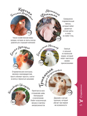 Мягкие игрушки на спицах. 12 пушистых зверей, которых легко вязать и не надо сшивать — фото, картинка — 5