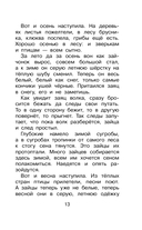 Фомка – белый медвежонок — фото, картинка — 16