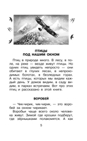 Фомка – белый медвежонок — фото, картинка — 8