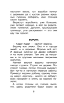 Фомка – белый медвежонок — фото, картинка — 9