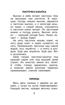 Фомка – белый медвежонок — фото, картинка — 11