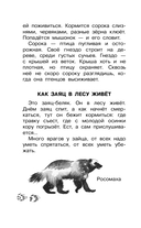 Фомка – белый медвежонок — фото, картинка — 13