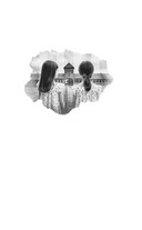 Акушерка Аушвица. Близнецы из Аушвица. Комплект из 3 книг — фото, картинка — 2