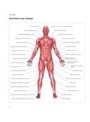 1500 стретчинг-упражнений: энциклопедия гибкости и движения — фото, картинка — 11