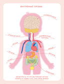 Как устроен человек. Детская энциклопедия — фото, картинка — 9