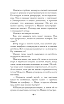 Хранитель солнца — фото, картинка — 5