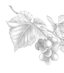 О природе — фото, картинка — 2