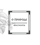 О природе — фото, картинка — 11