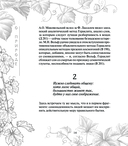 О природе — фото, картинка — 14