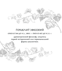 О природе — фото, картинка — 5